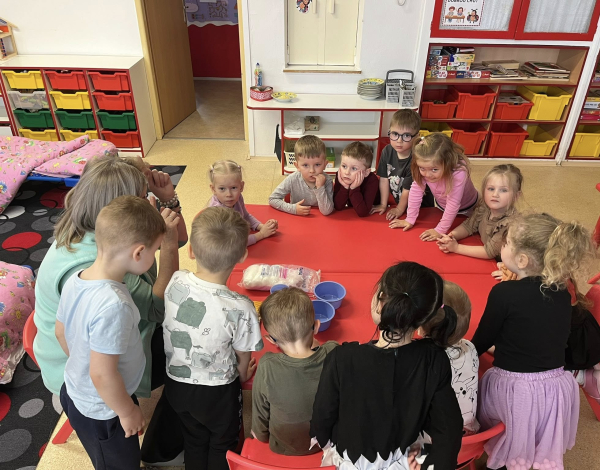 🐞🐞🐞 sejou mák