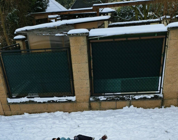 🐥🐥🐥na sněhu